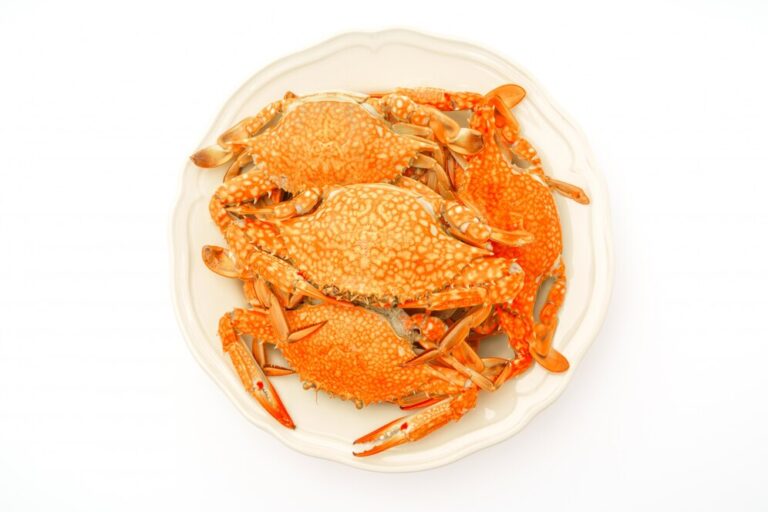 steamed-crabs-white-background_1232-3350