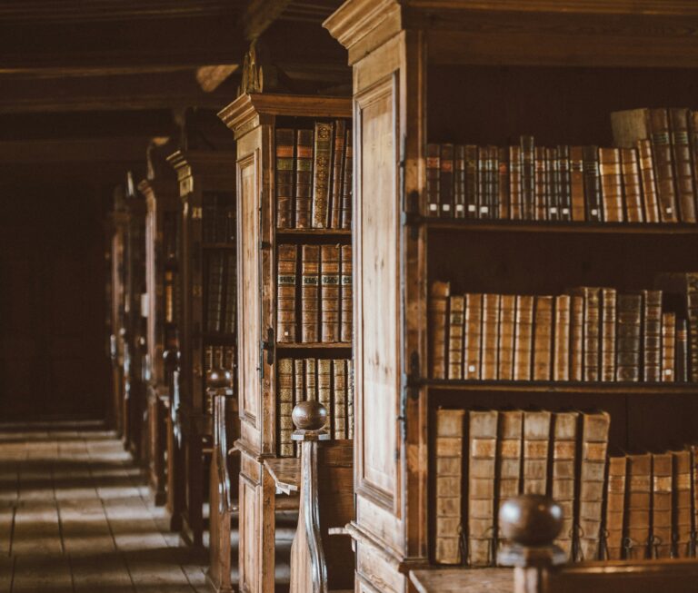 annie-spratt-GWCvnsMtiBg-unsplash