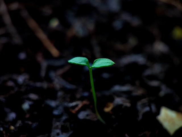 dr-sourabh-panari-878cggGk4FE-unsplash