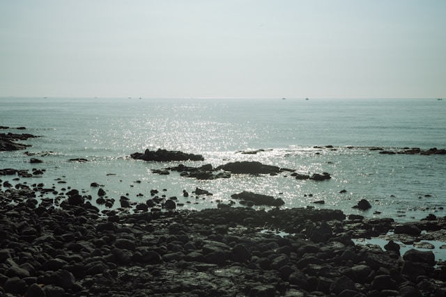 paul-yong-n0l4wl2r0e0-unsplash