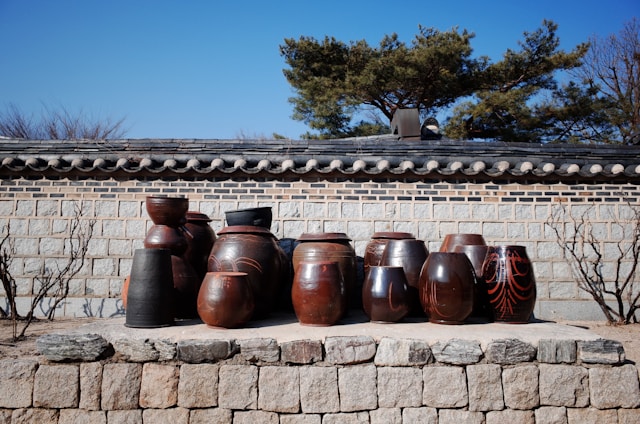 soyoung-han-idSAmRET0sQ-unsplash