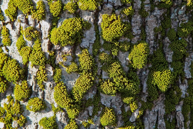 steinar-engeland-JX7nDtafBcU-unsplash