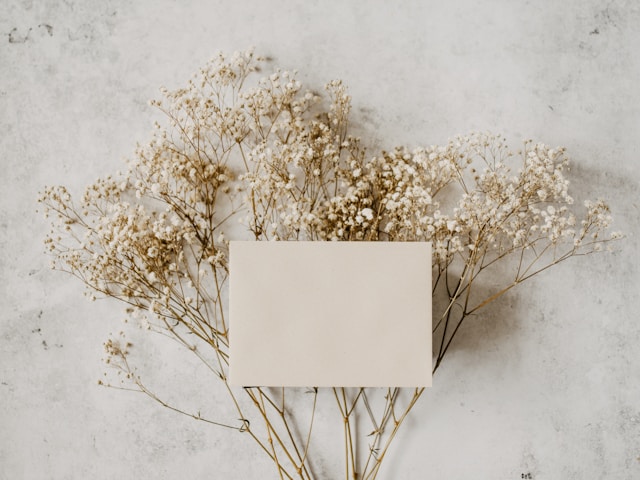 annie-spratt-W4ROulrlhE4-unsplash
