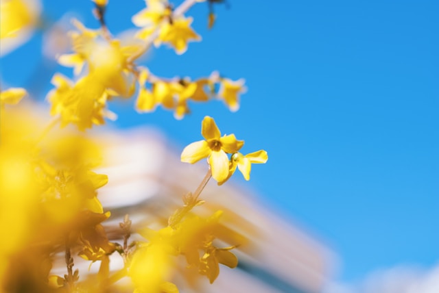 aubrey-odom-MLLh714yJpI-unsplash