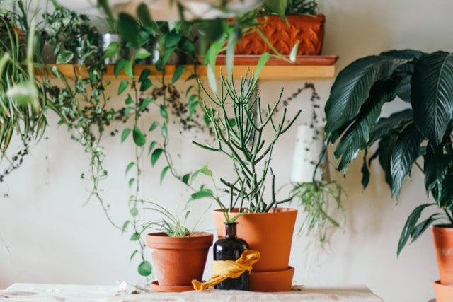 brina-blum-s5-NmxNA-7c-unsplash