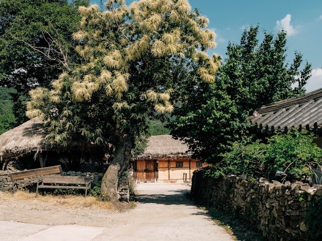 insung-yoon-J0BTDTNBevc-unsplash