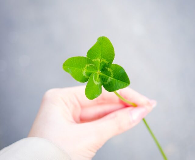nichika-sakurai-DlZcFBu-L7s-unsplash