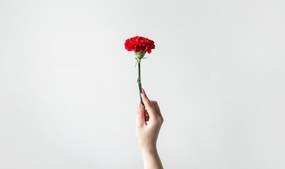 chay-tessari-RHGGDI5EUCE-unsplash