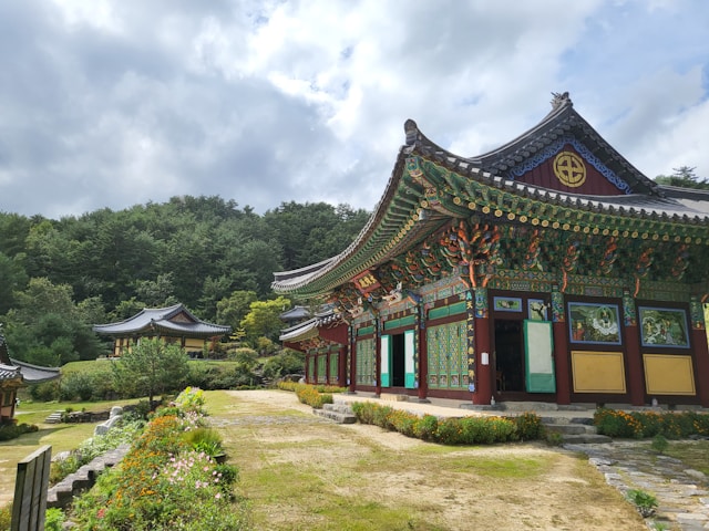 alex-park-TvH3B1kkN6Y-unsplash