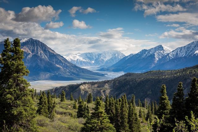 kalen-emsley-Bkci_8qcdvQ-unsplash