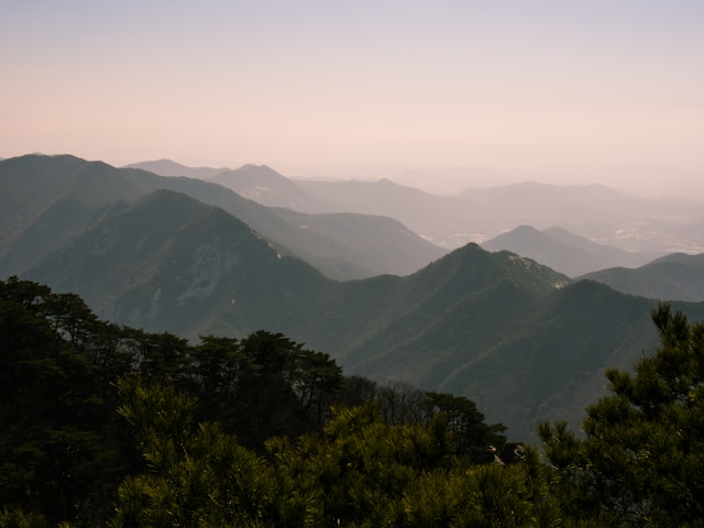 valentin-7YxcOFudSX4-unsplash