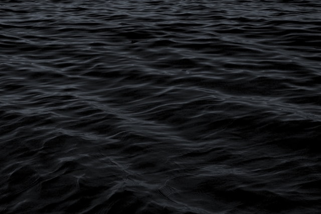mike-yukhtenko-wfh8dDlNFOk-unsplash