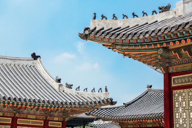 chan-young-lee-1QrxkI0RLHg-unsplash
