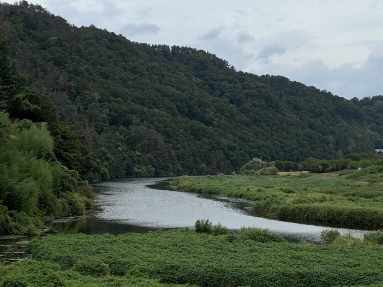 image22