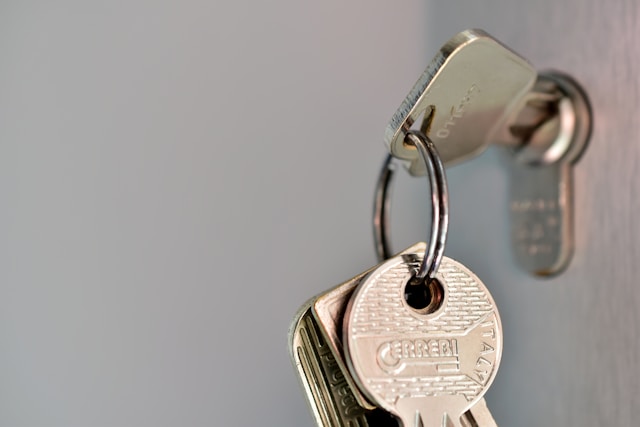 ries-bosch-5Dp7XJxILTk-unsplash